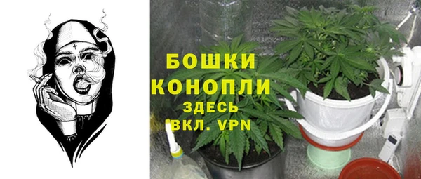 шишки Конаково