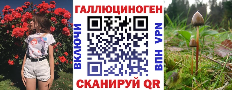 Галлюциногенные грибы Psilocybe hydra Лакинск